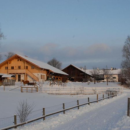 Zweilindenhof Hotel Seeshaupt Buitenkant foto