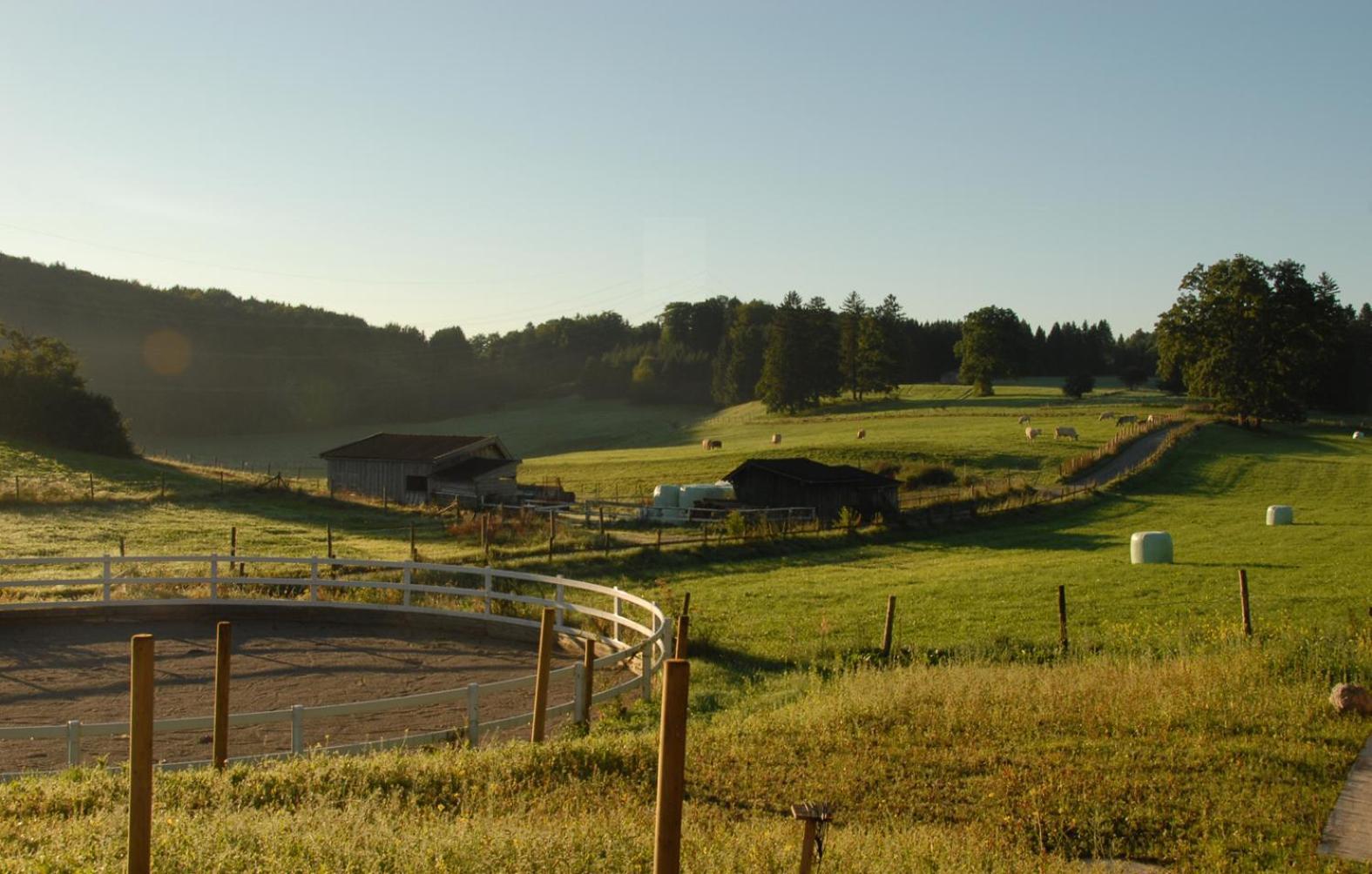 Zweilindenhof Hotel Seeshaupt Buitenkant foto