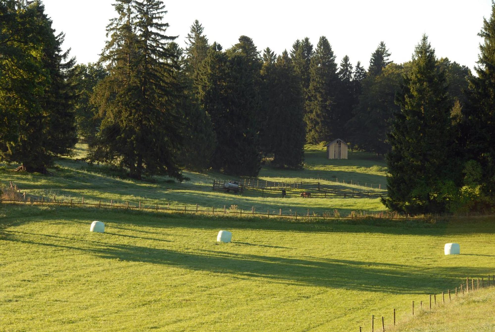 Zweilindenhof Hotel Seeshaupt Buitenkant foto