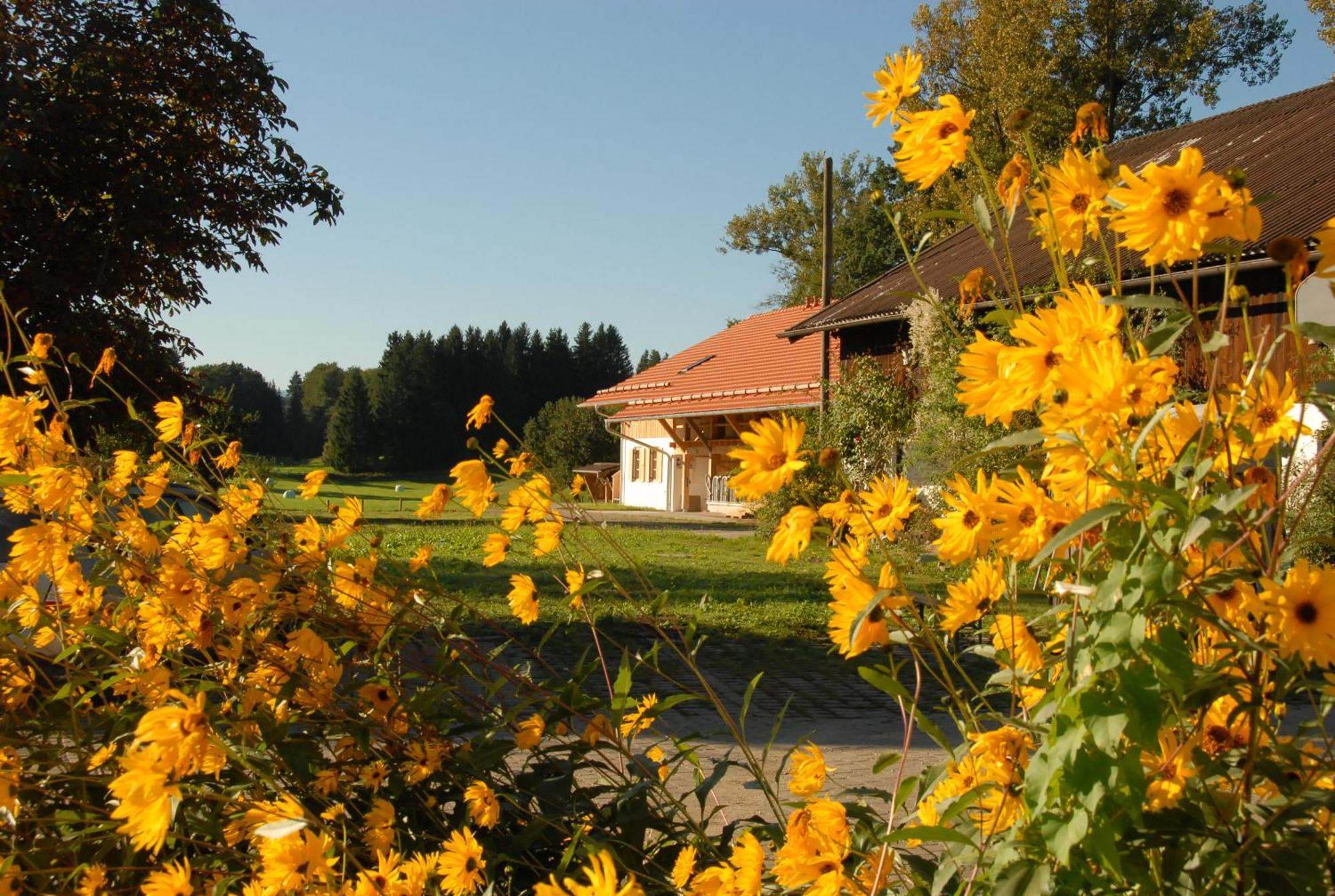 Zweilindenhof Hotel Seeshaupt Buitenkant foto