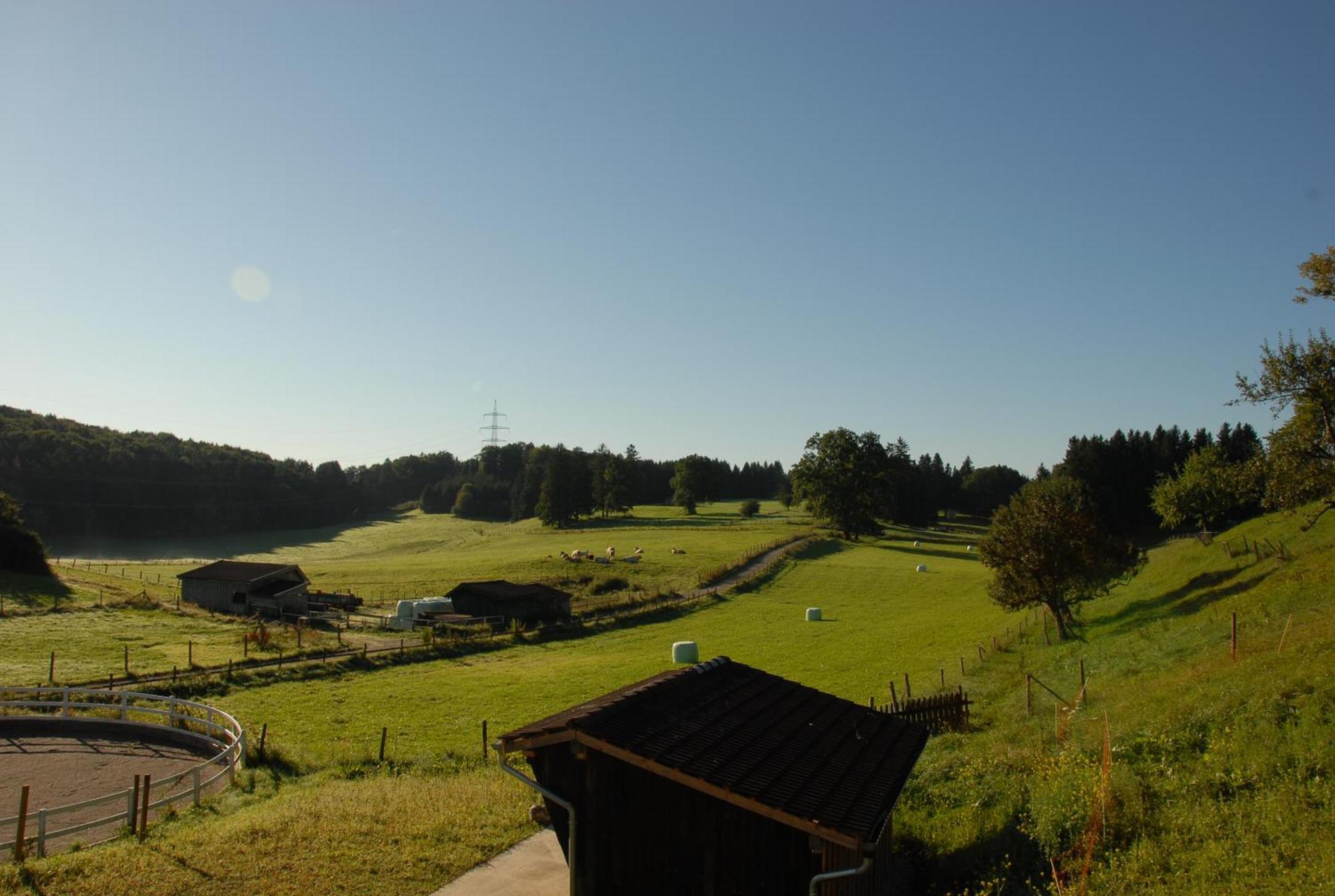 Zweilindenhof Hotel Seeshaupt Buitenkant foto